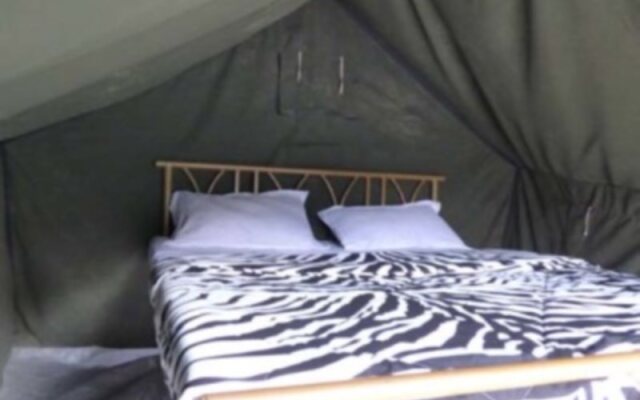 Mogli Camps
