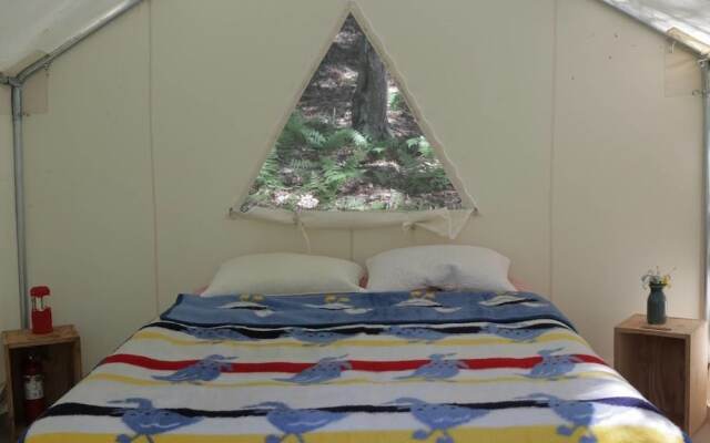 Tentrr - Birdwatcher