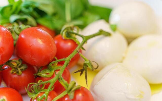 Fattoria di Piantravigne Villa Storica del 600