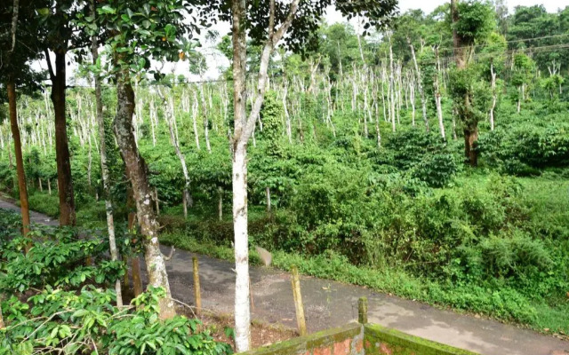Pauls Retreat Wayanad