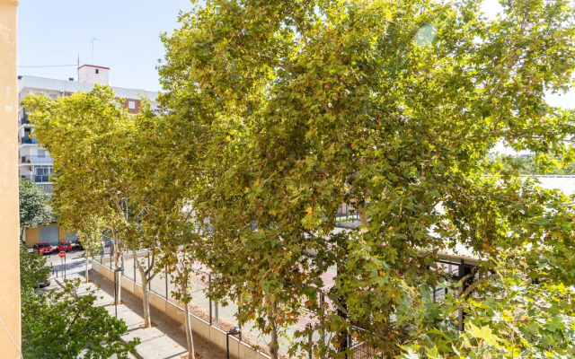 MD Horticultor Galán