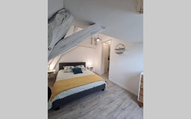 Centre ville 3 pièces envoûtant sous combles 40m²