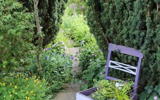 The Vine B & B