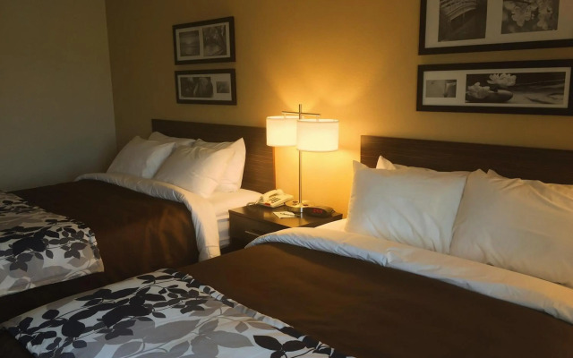 Sleep Inn & Suites Carlsbad Caverns Area