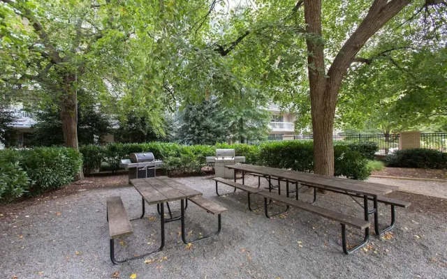Crystal City Comfortable Apartments
