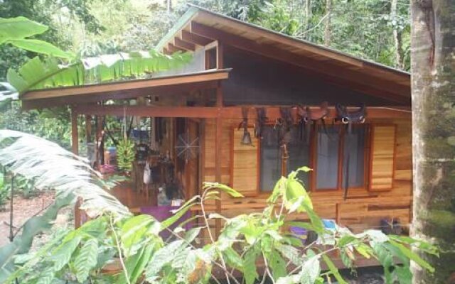 El Tucan Jungle Lodge