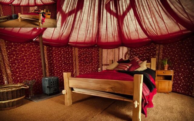 Plush Tents Glamping