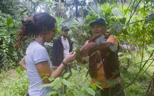 lupuna jungle tours and expeditions