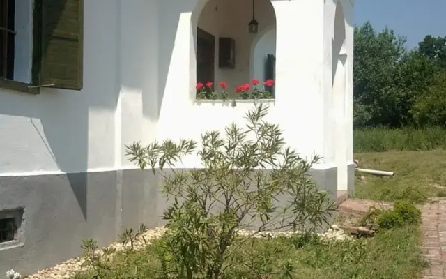 Farkasdombi Vendeghaz