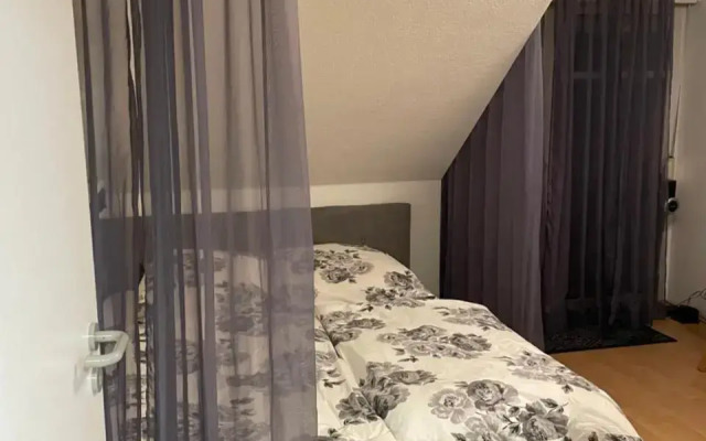 Fewo an der Saale, 5 min bis Zentrum