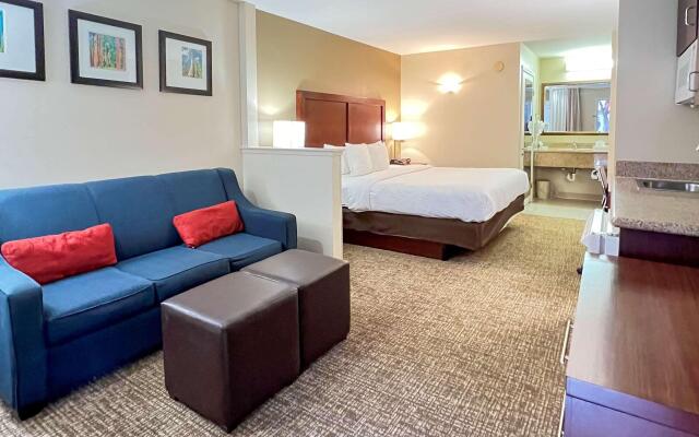 Comfort Inn & Suites Sequoia/Kings Canyon