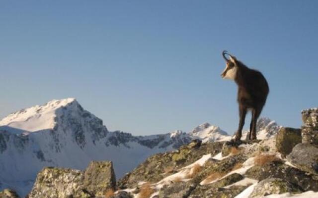 Horsky Hotel Popradske Pleso