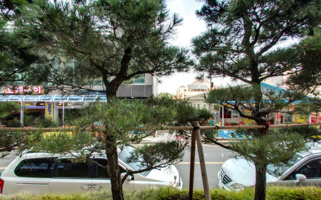 Hotel Solaire