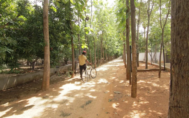 Reva Resorts & Holiday Homes