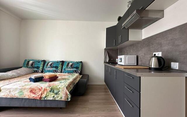 Apartments On Ryabinovaya Street