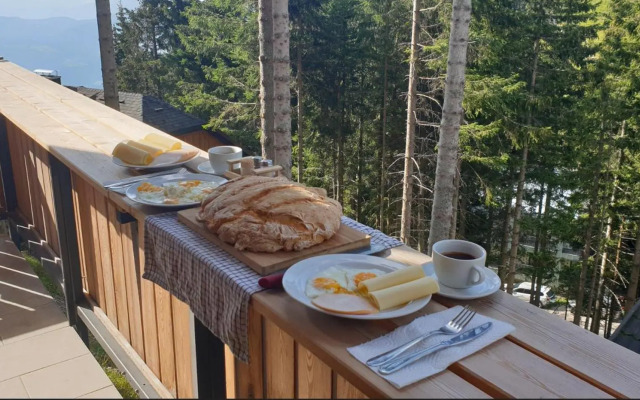 Golte SkiCenter Apartment