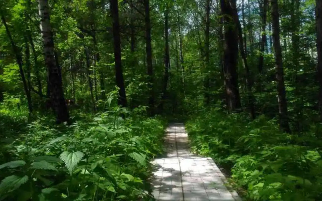 Guest House Sosnovaya Alleya