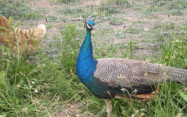 Domaine de Kerbillec