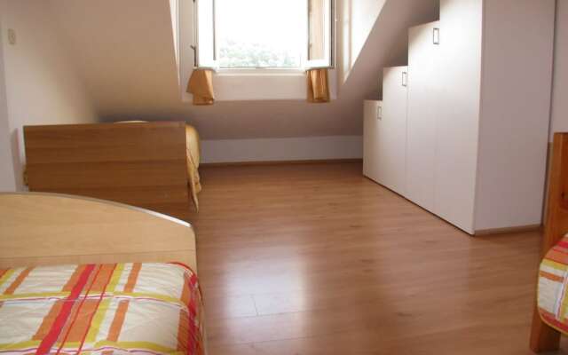 Apartment Martinic