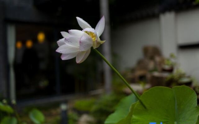 Wuxi Dayin Mountain Residence Garden Homestay