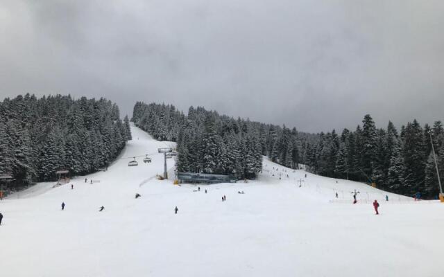 Studio Borovets in Hotel Flora