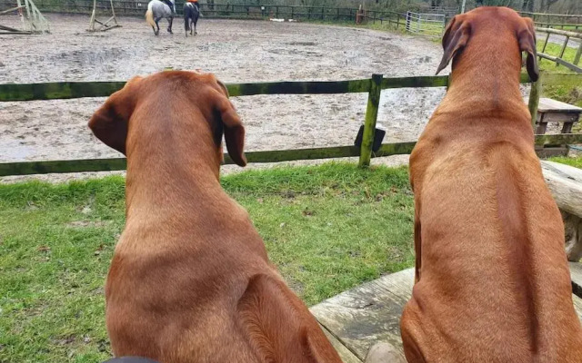 Self Catering Apartment, Jurassic Coast/Dorset