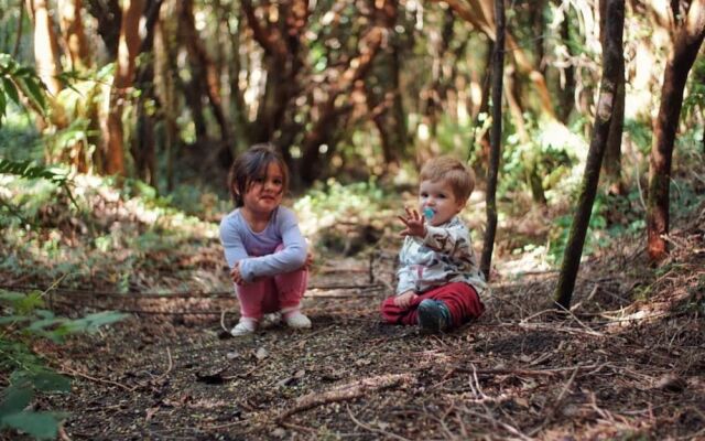 Cabanas Ensenada Bosque Nativo