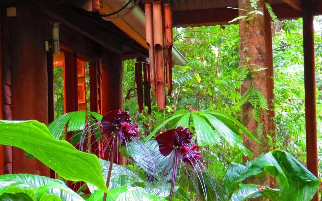 Daintree Rainforest Retreat