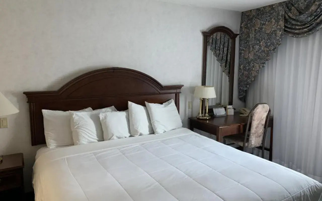 Rodeway Inn Fallsview