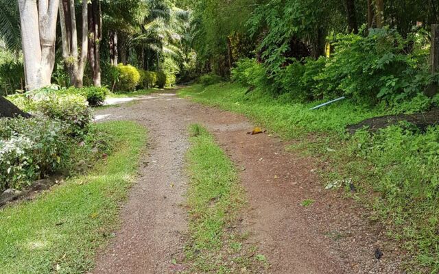 Phanom Bencha Mountain Resort