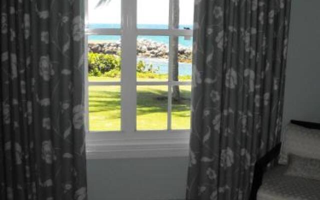Sea Palms