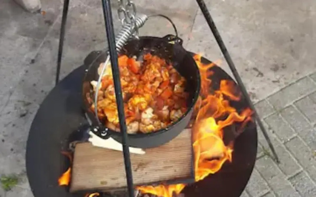 Jacuzzi, Cows, Dairyfarm, Relaxing, Sleeping