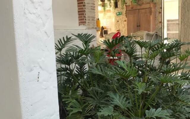 San Angel Hotel Boutique