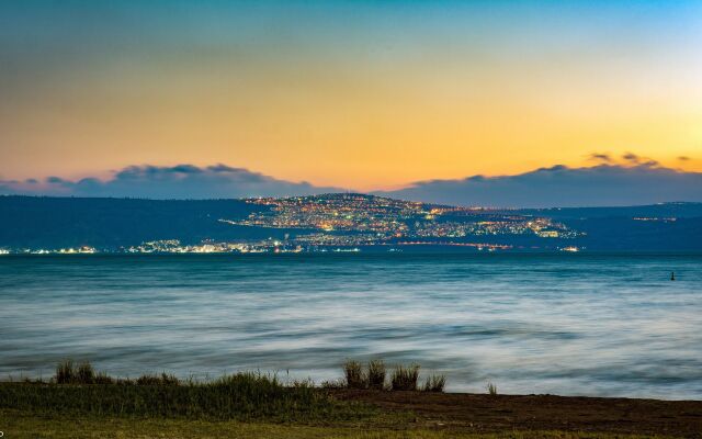 Olive In Sea of Galilee