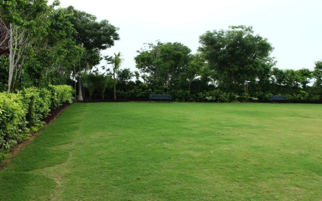 Nidhivan Sarovar Portico Vrindavan