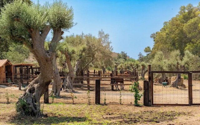 Sogno di Giove by Wonderful Italy