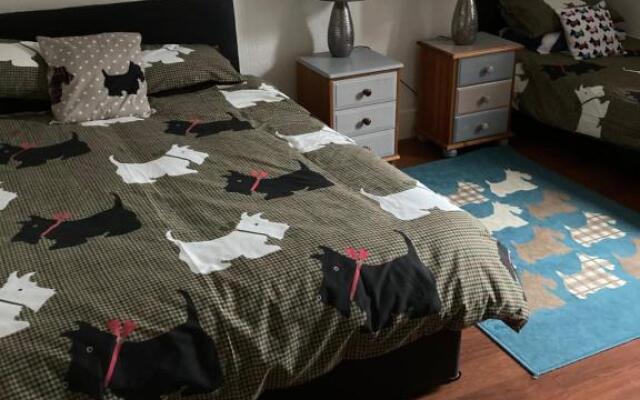 Thistle Room single with en-suite