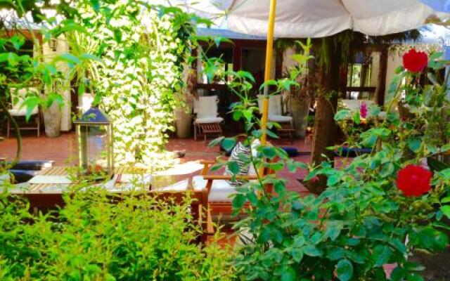 Hotel Boutique America