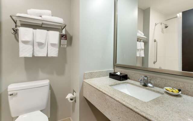 Best Western Plus Edinburg Inn & Suites