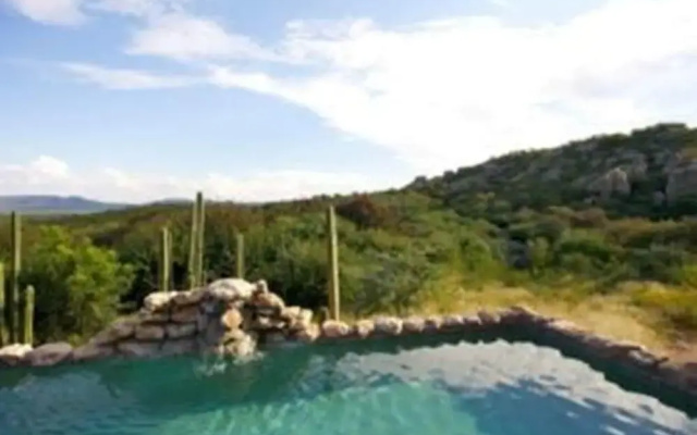 Sasa Safari Camp