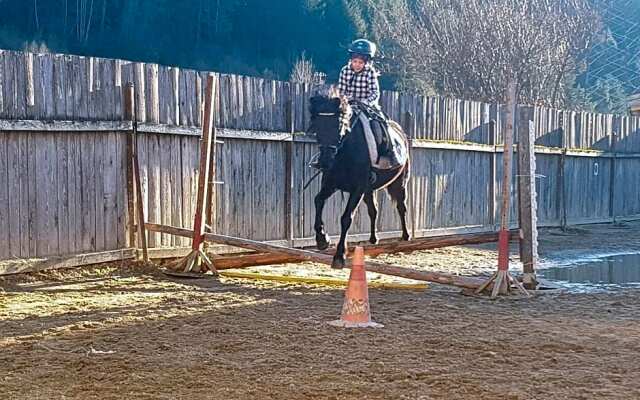 Margit's Ranch Urlaub am Pferdehof