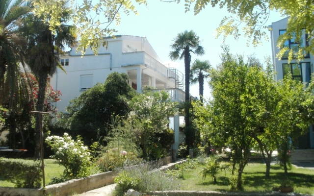 Room Aleksandra - 10 m from sea: R7 Bibinje, Zadar riviera
