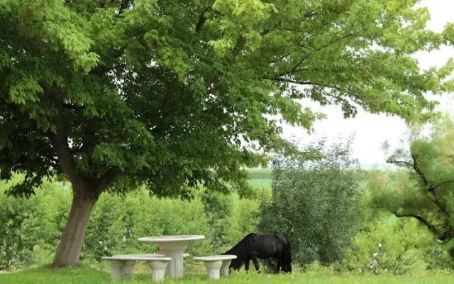 Casa Rural Cal Dalfó