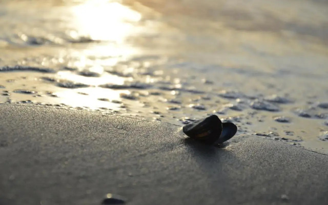 The Sunset Apartments