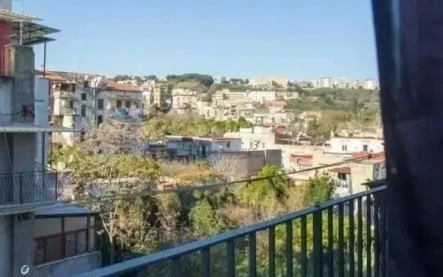 I Libri Indispensabili