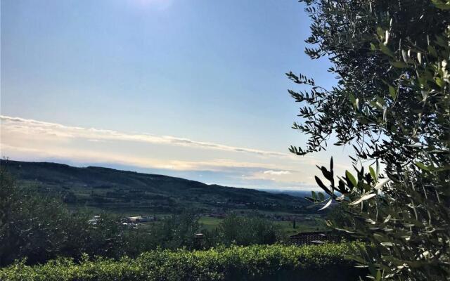 Valpolicella Hills