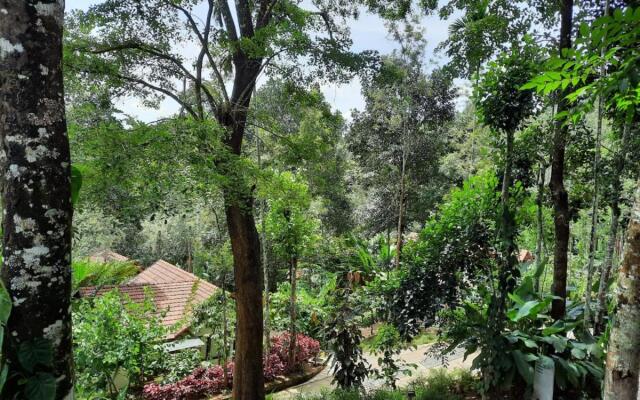 The Willow Resorts