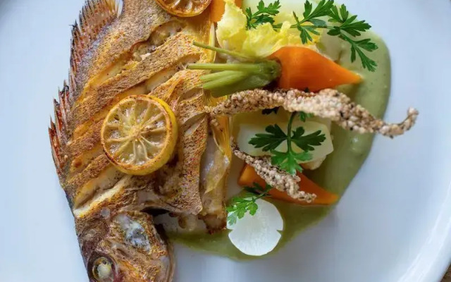 Constance Tekoma. Rodrigues