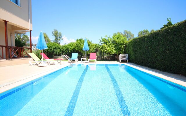 Paradise Town Villa Orchard