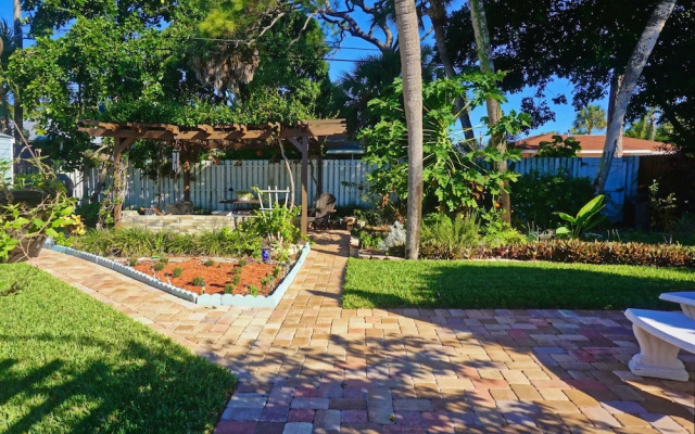 St Pete Beach, Backyard Sanctuary 154